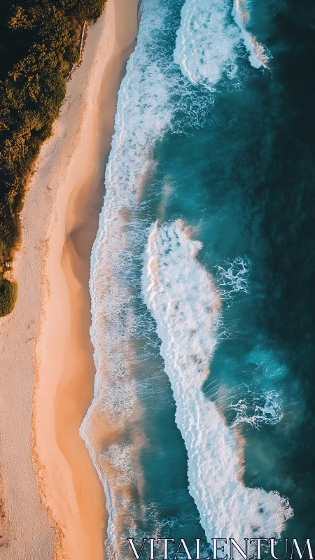 Sunlit tropical shoreline with teal surf from above.