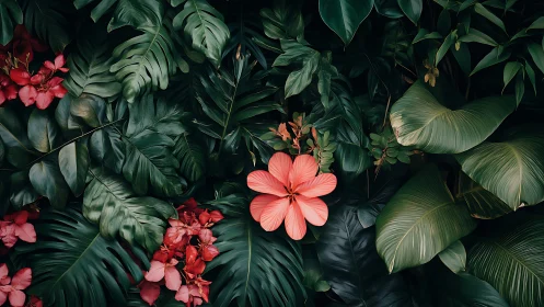 Coral hibiscus anchors dense tropical foliage composition