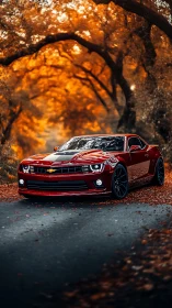 Crimson sports car glows along a quiet autumn forest road