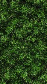 Dense green grass texture with layered blades pattern.