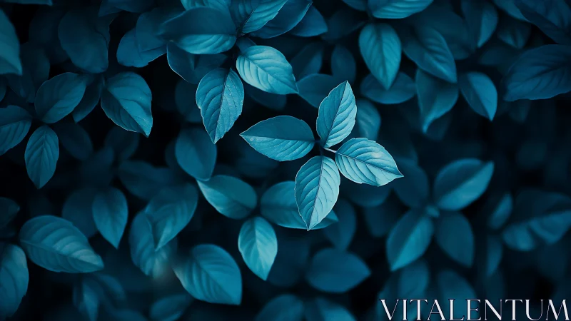 Midnight blue leaves gathered in a calm forest hush.