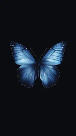 Luminous blue butterfly resting in a calm night sky.