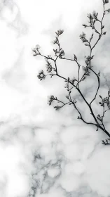 Marble hush and blossom shadows in quiet vertical grace.