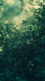 Photorealistic close-up foliage with shallow depth of field.