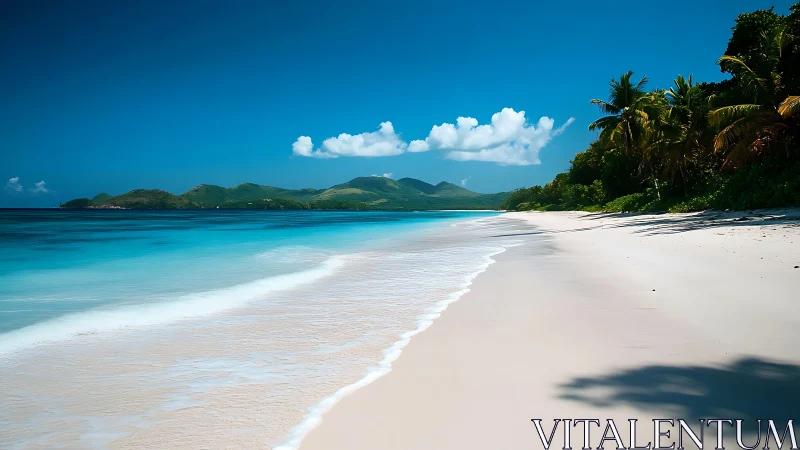 Tropical Beach Paradise: Pristine White Sand and Turquoise Waters.