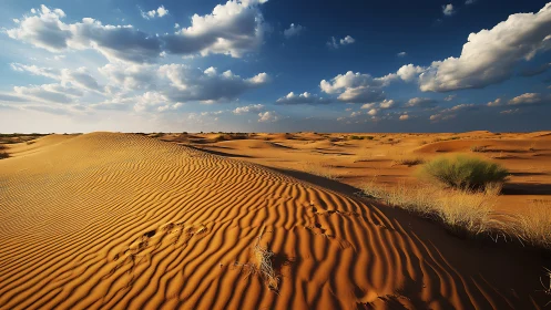 Sunlit desert ripples converse quietly with roaming clouds