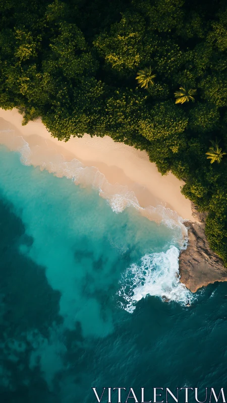 Tropical Paradise: Aerial Perspective of Untouched Coastline.