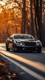 Sleek black luxury coupe powers through a golden forest road