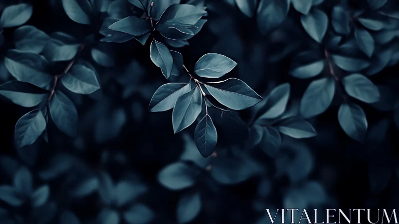 Deep green foliage close-up with moody lighting, artistic nature style.