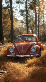 Autumn-lit orange beetle car resting softly in forest hush.