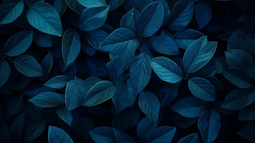 Dense overhead foliage in uniform cool blue tones.