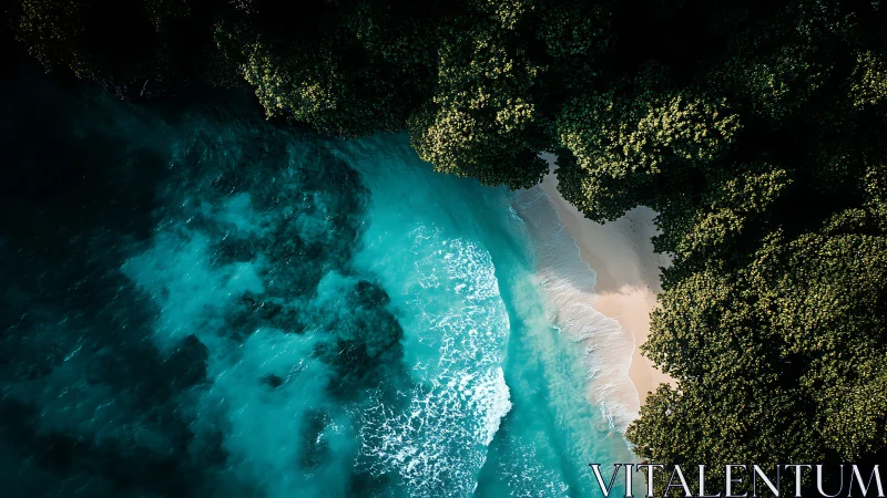 Aerial Coastal Vista: Turquoise Waters Meet Dense Forest.