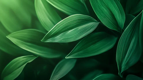 Gentle green leaves drifting through quiet morning light.