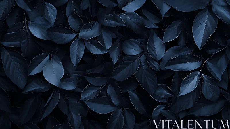 Midnight blue foliage forms a moody botanical background