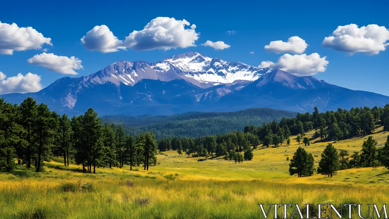 Snowcapped mountain ridge above sunlit pine valley