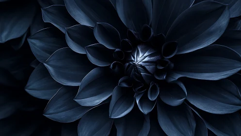 Monochromatic flower with layered petals displaying structural geometry