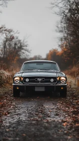 Classic black Mustang parked on wet autumn forest road.