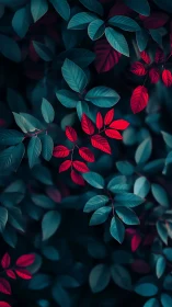 Crimson leaves amid teal foliage in moody depth of field.