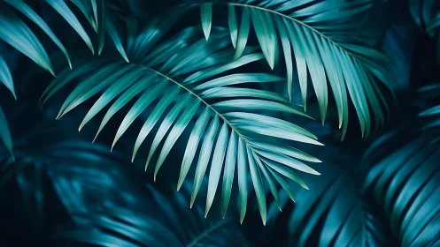 Macro study of teal tropical palm fronds with soft rim lighting