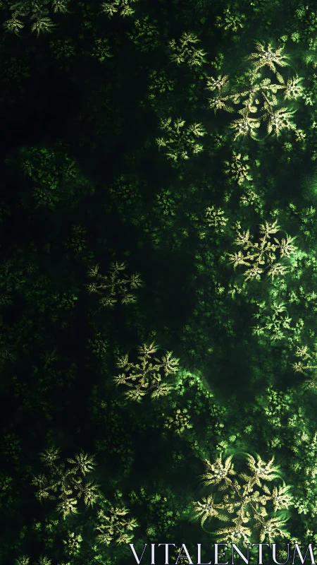 Fractal foliage structures form layered clusters on dark field