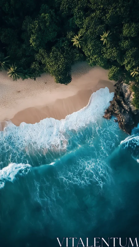 Tropical shoreline with turquoise surf and dense jungle
