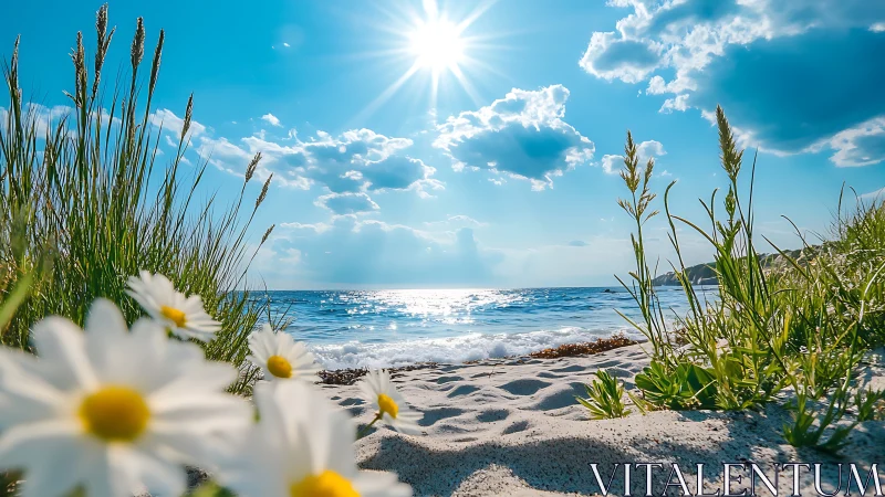 Sunny wildflower shore inviting you to pause and breathe.