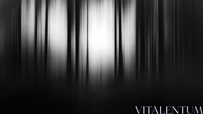 Soft light drifting through a dreamlike monochrome forest.