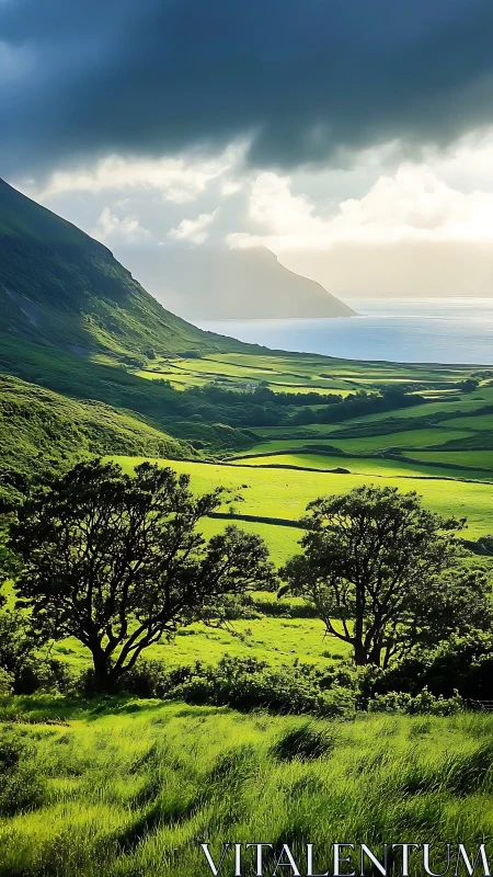 Backlit coastal valley landscape displays layered green pastures