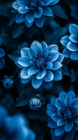 Midnight Dahlias Dance in Electric Blue Reverie