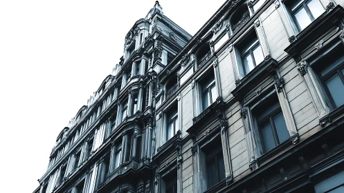 Monochrome façade study isolates ornate neoclassical geometry