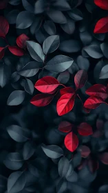 Deep red leaves glowing softly against midnight foliage.