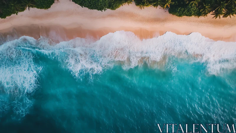 Tropical shoreline shows turquoise waves breaking on sand