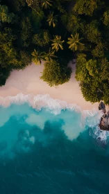 Tropical Paradise Coastline Aerial View