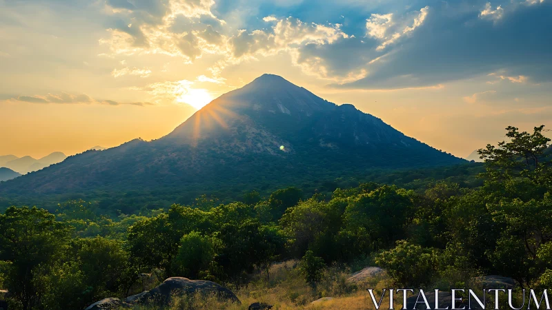 Backlit mountain ridge with radiant sunset and forest foreground.