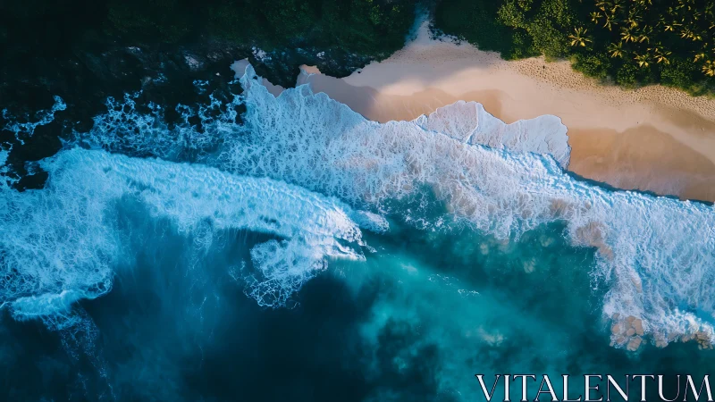 Aerial shoreline with turquoise surf, foaming breakers, dense palms