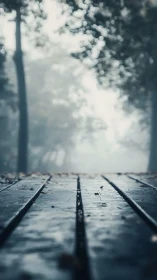 Low-Angle Wooden Boardwalk with Cumulus Cloud Formation and Atmospheric Depth