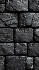 Wet textured black stone masonry wall with hard side lighting.