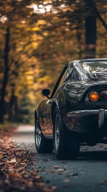 Classic black coupé on leaf-lined forest road in autumn bokeh