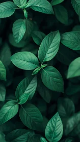 Emerald foliage pattern reveals crisp organic geometry