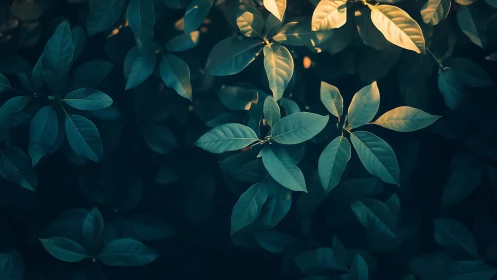 Backlit foliage forms a cool-toned botanical low-key composition