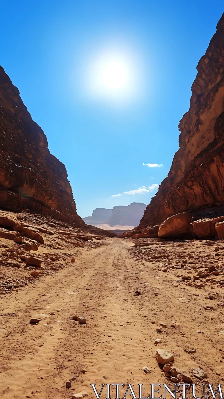 Sunburned canyon road under a fierce desert haloed sun.