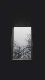 Rectangular opening framing bare winter tree branches.