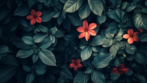 Coral Blooms Pierce the Emerald Shadows.