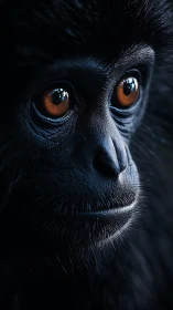 Photorealistic primate portrait with dramatic low-key lighting.