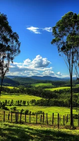 Rural hills, trees and pasture form layered landscape view