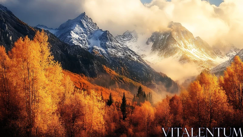 Golden autumn forest glows beneath dramatic snowy peaks