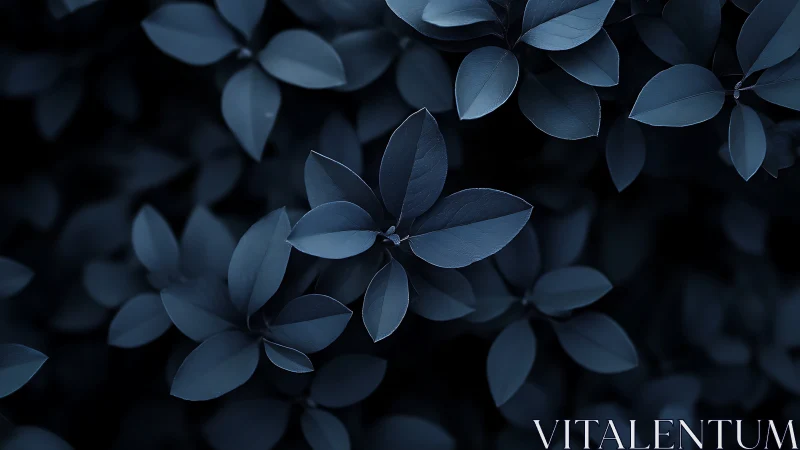 Moody blue foliage forms a tranquil, softly lit canopy