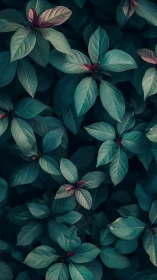 Moody teal foliage with subtle red leaf tips in soft focus
