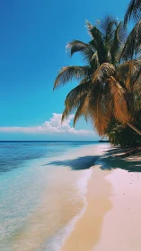 Tropical Paradise Beach with Palm Trees and Turquoise Waters