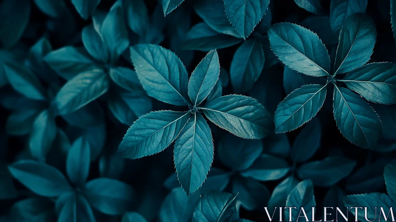 Midnight teal leaves in a quiet forest daydream.